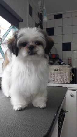 saar weer schoon en bij gewerkt