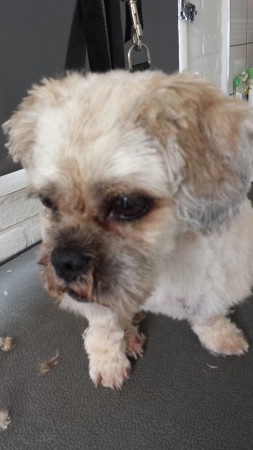 weer op gefrist en zonder klitten